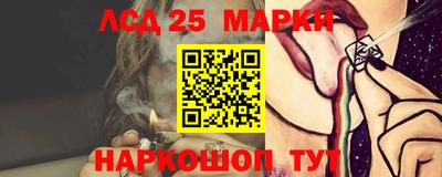 spice Новодвинск