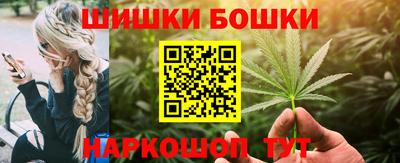spice Новодвинск