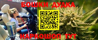 spice Новодвинск