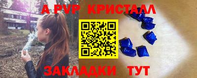 spice Новодвинск