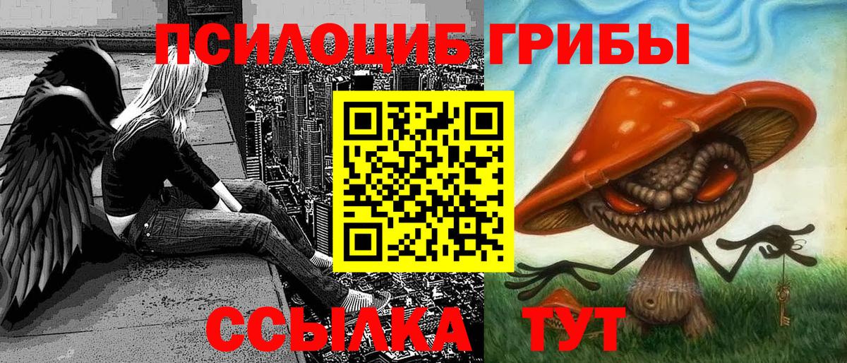сколько стоит  Вход с VPN  Псилоцибиновые грибы Psilocybine cubensis  Ступино  Псилоцибиновые грибы GOLDEN TEACHER 